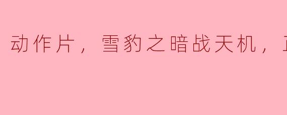 ** 《雪豹之暗战天机》是一部怎样的动作片？  **