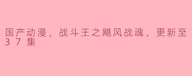 ### 国产动漫《战斗王之飓风战魂》更新至37集：热血与友情并存的冒险之旅