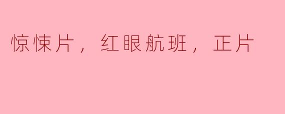 惊悚片，红眼航班，正片