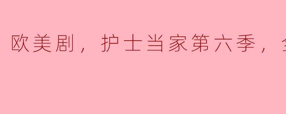 欧美剧，护士当家第六季，全12集