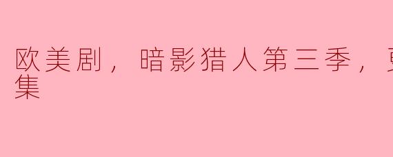 欧美剧，暗影猎人第三季，更新至21集