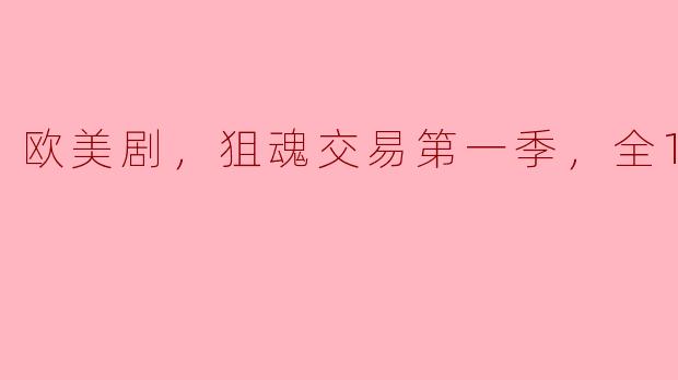 欧美剧《狙魂交易》第一季一共有多少集，主要讲述了什么内容？
