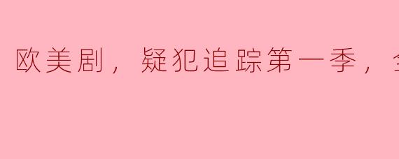 欧美剧《疑犯追踪》第一季有多少集，主要讲述了什么内容？**