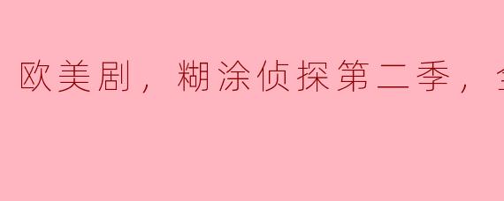 欧美剧，糊涂侦探第二季，全30集