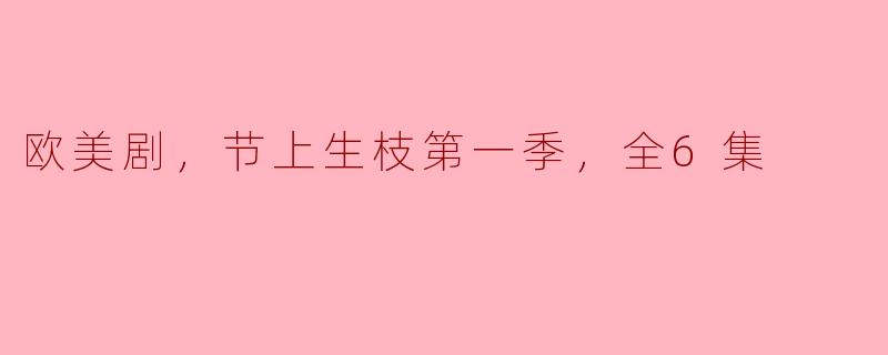 欧美剧，节上生枝第一季，全6集