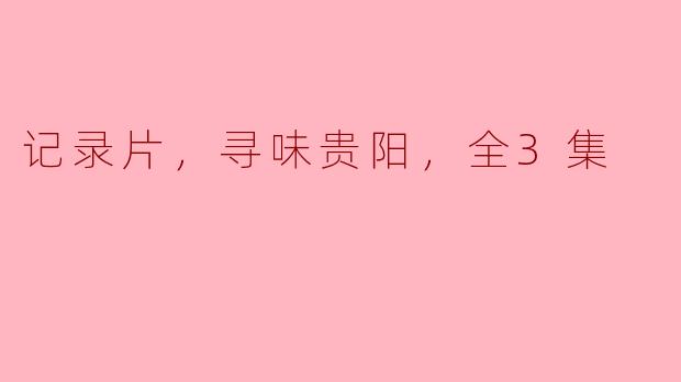 ### 纪录片《寻味贵阳》：一场舌尖上的文化之旅