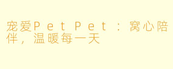 宠爱PetPet：窝心陪伴，温暖每一天