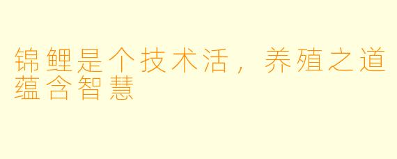锦鲤是个技术活,养殖之道蕴含智慧