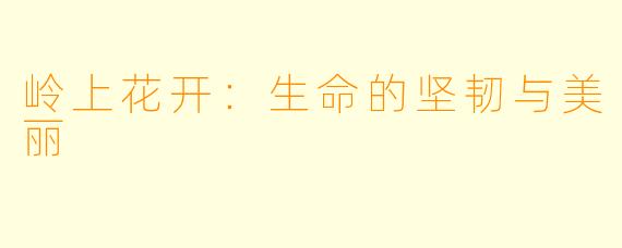 岭上花开：生命的坚韧与美丽