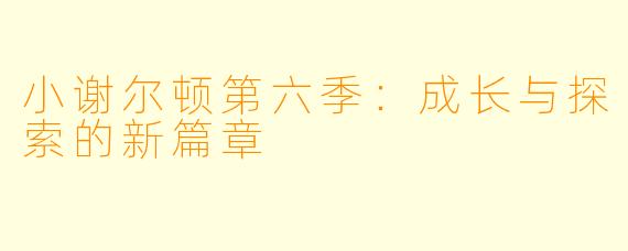 小谢尔顿第六季：成长与探索的新篇章