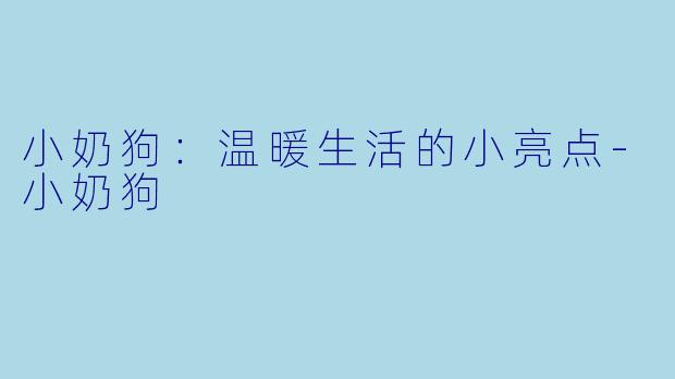 小奶狗：温暖生活的小亮点-小奶狗