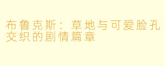 布鲁克斯:草地与可爱脸孔交织的剧情篇章
