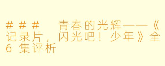 ### 青春的光辉——《记录片，闪光吧！少年》全6集评析
