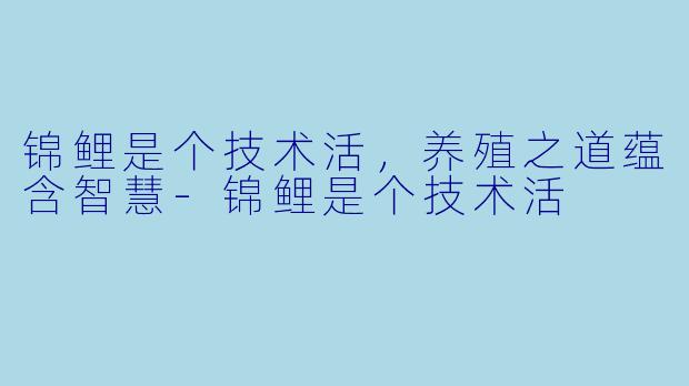 锦鲤是个技术活，养殖之道蕴含智慧-锦鲤是个技术活