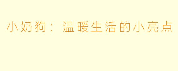 小奶狗:温暖生活的小亮点