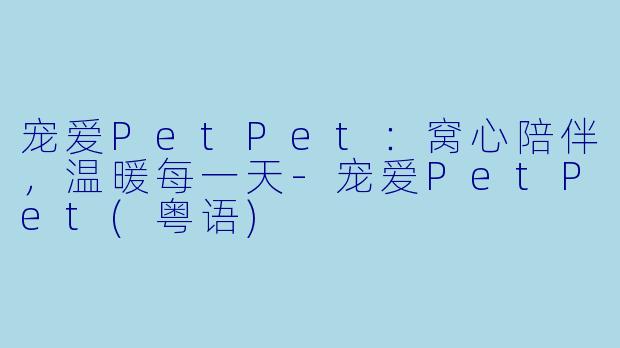 宠爱PetPet:窝心陪伴,温暖每一天