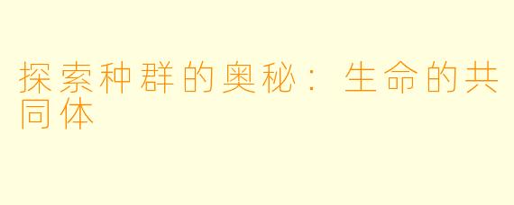 探索种群的奥秘：生命的共同体