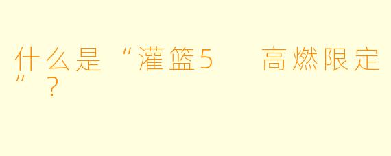 什么是“灌篮5 高燃限定”？  