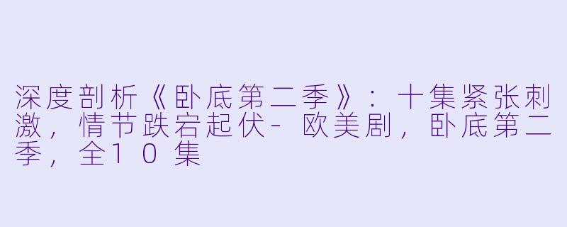 深度剖析《卧底第二季》：十集紧张刺激，情节跌宕起伏-欧美剧，卧底第二季，全10集