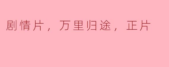 电影《万里归途》的主要剧情是什么？****