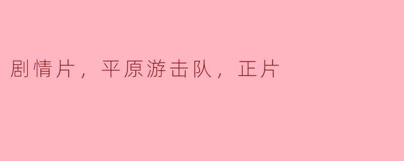 剧情片，平原游击队，正片