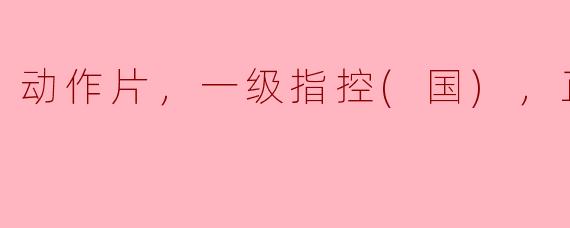 动作片，一级指控(国)，正片