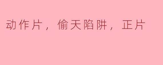 动作片，偷天陷阱，正片