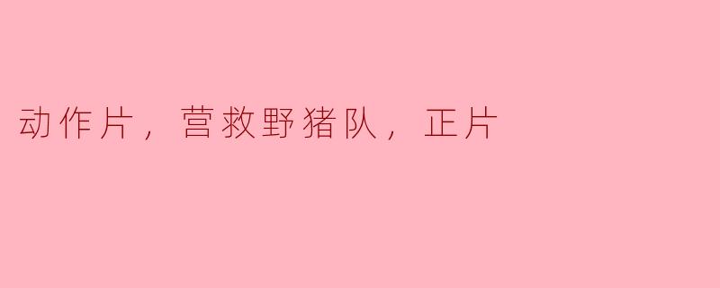 动作片，营救野猪队，正片