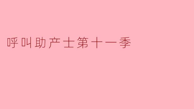 呼叫助产士第十一季