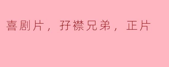 探讨《孖襟兄弟》：一部令人捧腹的喜剧片