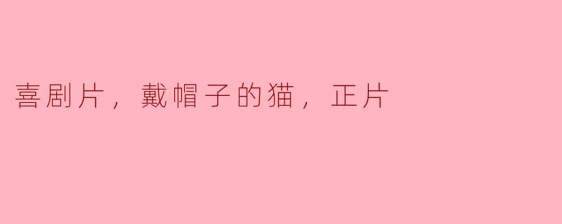 电影《戴帽子的猫》中，猫咪的冒险经历是怎样的？