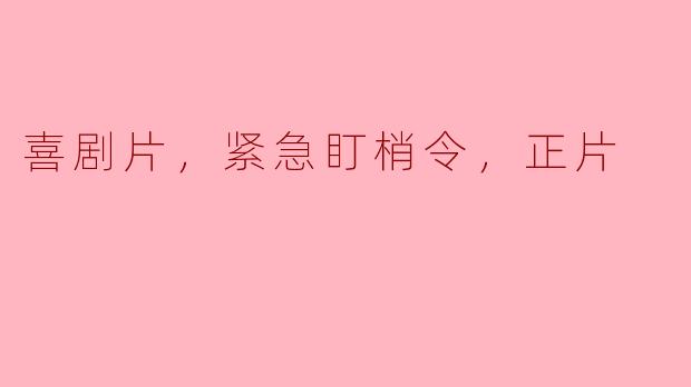 喜剧片，紧急盯梢令，正片