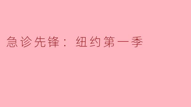 急诊先锋：纽约第一季