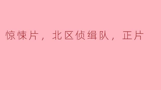 你觉得《惊悚片：北区侦缉队》的剧情如何？