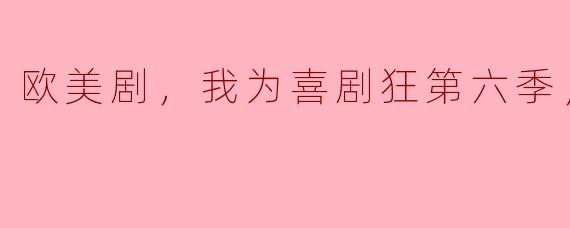 欧美剧，我为喜剧狂第六季，全22集