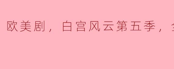 欧美剧，白宫风云第五季，全22集