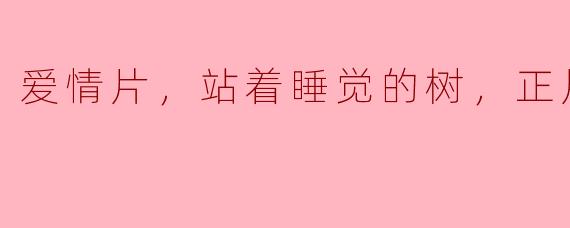 爱情的树影：站着睡觉的树与爱的永恒