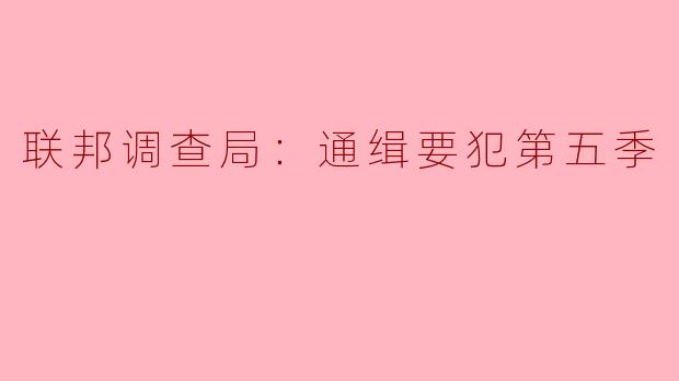 在《联邦调查局：通缉要犯第五季》中，主要的剧情发展和新角色有哪些亮点？