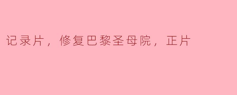 记录片，修复巴黎圣母院，正片