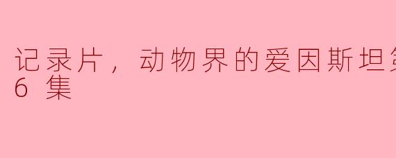 记录片，动物界的爱因斯坦第一季，全6集