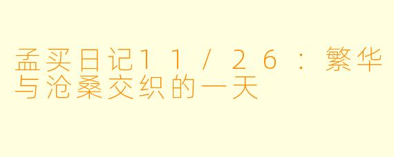 孟买日记11/26:繁华与沧桑交织的一天