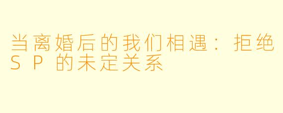 当离婚后的我们相遇：拒绝SP的未定关系