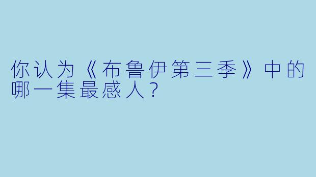 你认为《布鲁伊第三季》中的哪一集最感人？  
