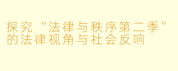 探究“法律与秩序第二季”的法律视角与社会反响