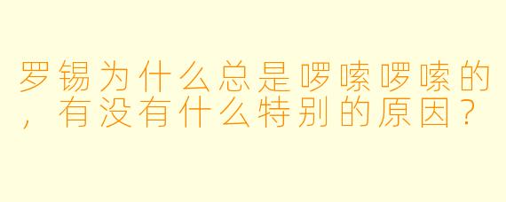 罗锡为什么总是啰嗦啰嗦的，有没有什么特别的原因？