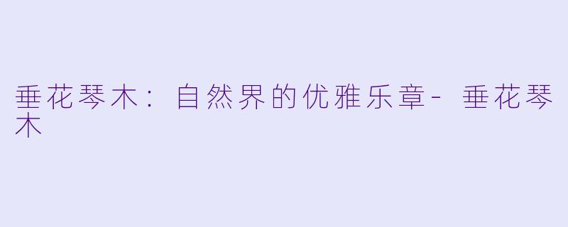 垂花琴木：自然界的优雅乐章-垂花琴木