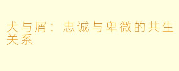 犬与屑：忠诚与卑微的共生关系