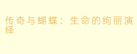 传奇与蝴蝶:生命的绚丽演绎