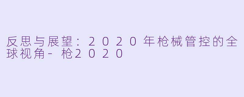 反思与展望：2020年枪械管控的全球视角-枪2020