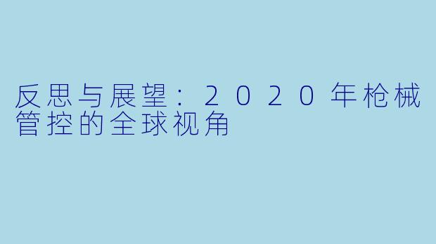 反思与展望：2020年枪械管控的全球视角